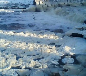 Ледяные кувшинки