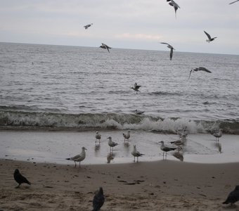 Осенняя Балтика