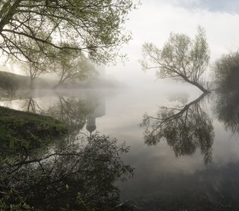 Туманное утро