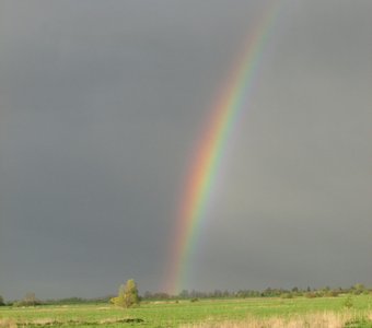 Радуга над полем