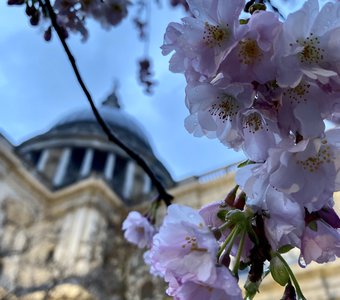 Весна в Лондоне