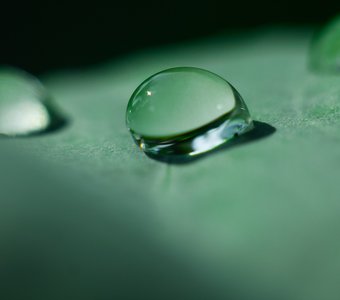 Одна из капель дождевой воды на капустном листе / One of the drops of rain water on a leaf of cabbage