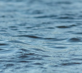 Spring river water in a flooded place / Речная вода в подтопленном месте