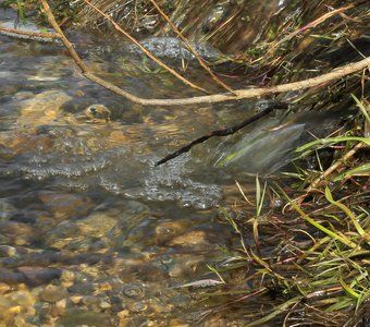 A moment with a stream of melt spring water / Момент с потоком талой весенней воды в лужу