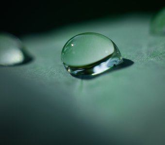 One of the drops of water on a cabbage leaf / Одна из капель воды на капустном листе