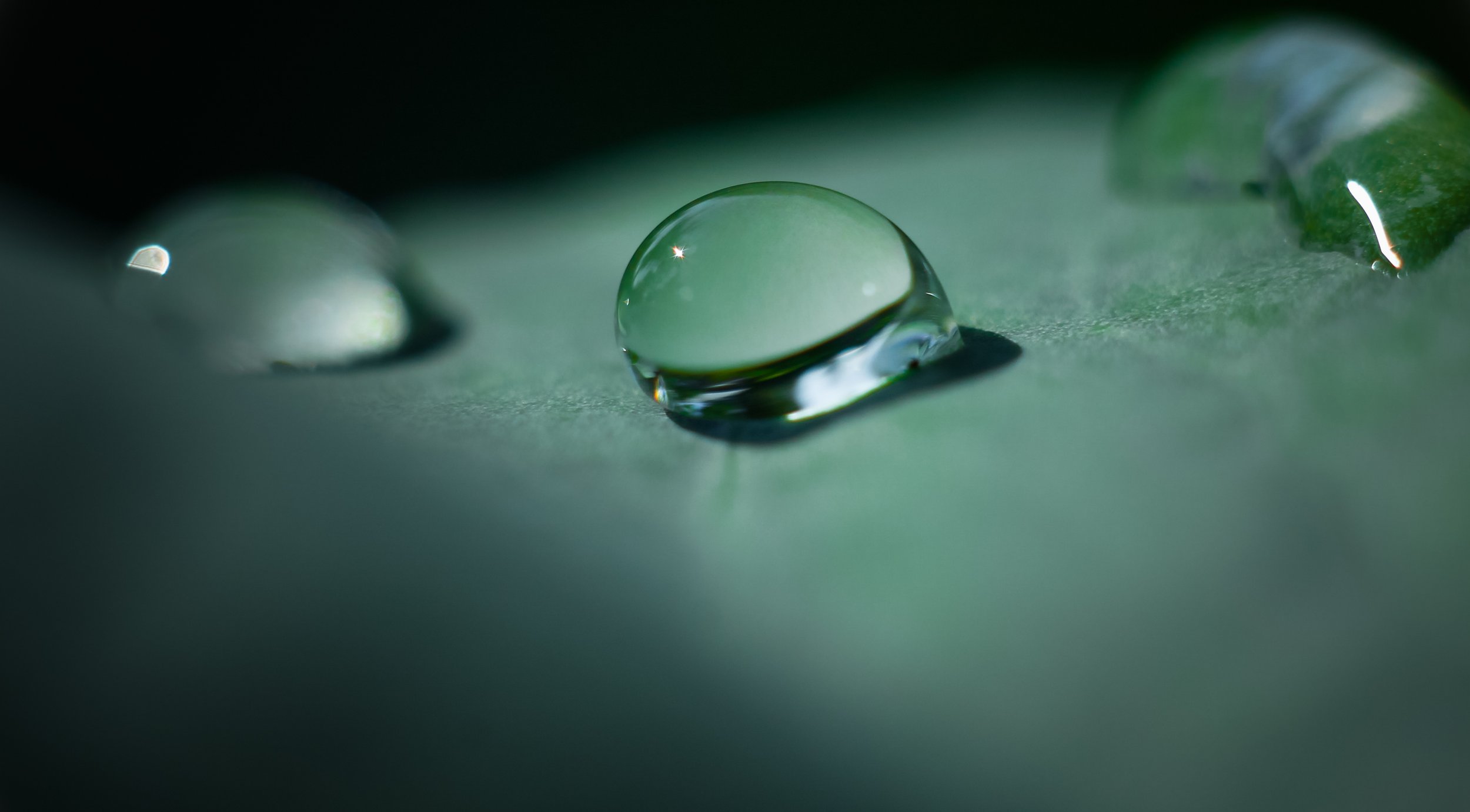 One of the drops of water on a cabbage leaf / Одна из капель воды на капустном листе