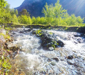 Быстрая чистая полноводная горная речка с бликами солнца в летний день