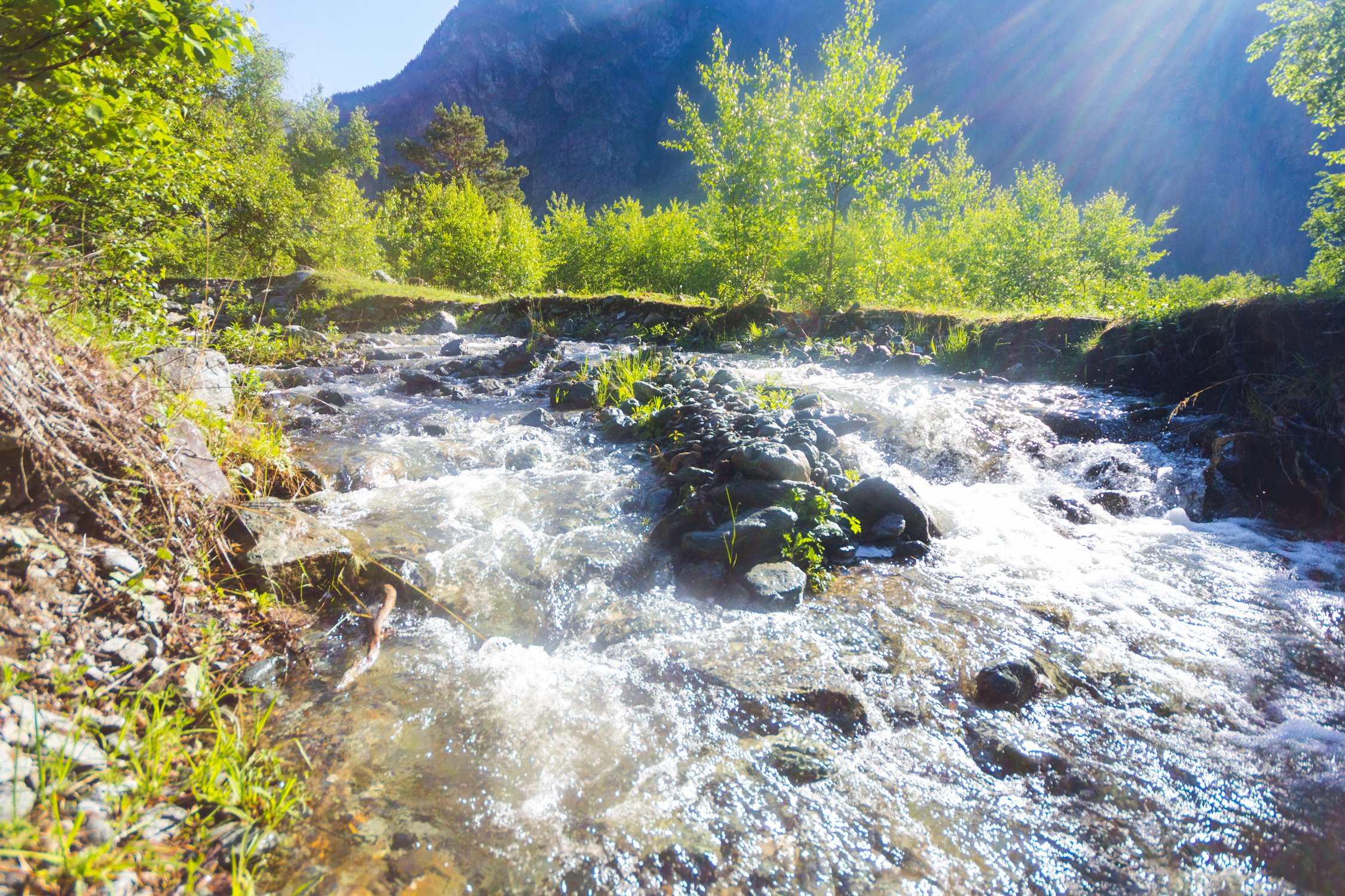 Быстрая чистая полноводная горная речка с бликами солнца в летний день
