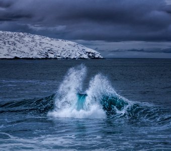 Улыбка Баренцева моря