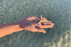 Россияне назвали самые привлекательные страны для жизни зимой