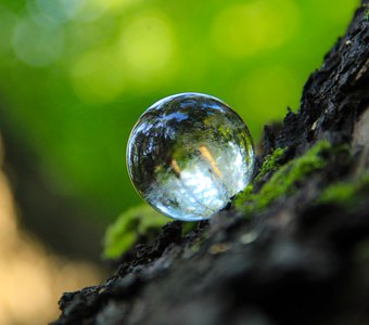 Мир зародился с капли воды