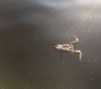 Невесомость