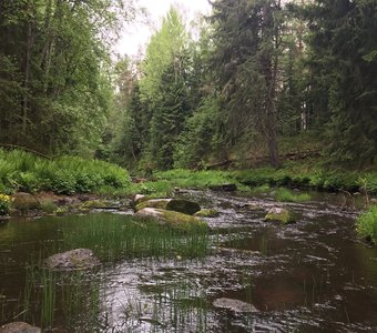Там на неведомых дорогах..
