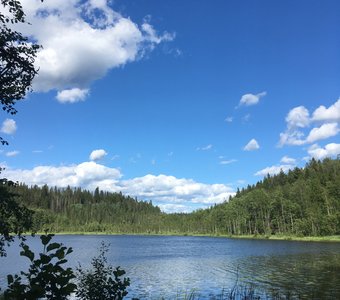 Небо, лес и вода