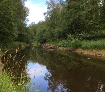 Речка, небо голубое..