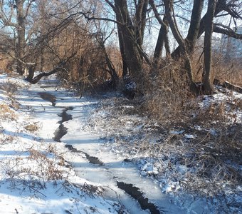 Пробуждение