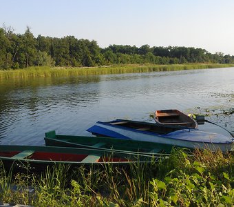 Жизнь у воды