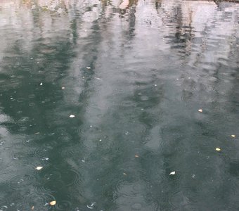 осенний дождь