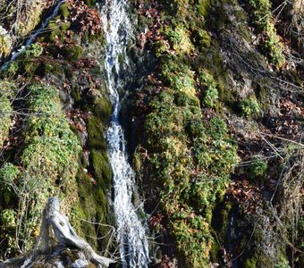 Вода хранит воспоминания