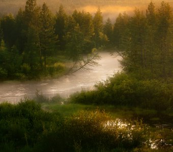 Вечерний туман ползет по реке