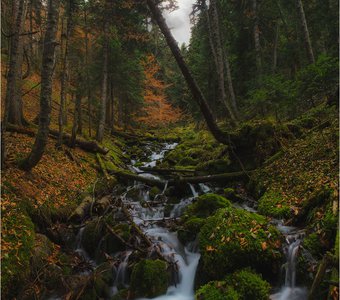 Горный ручеек