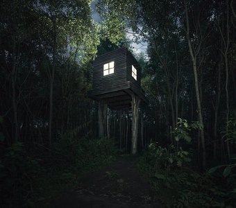 Дом над лесом