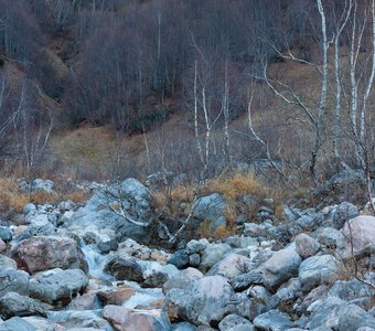 Исток Белой