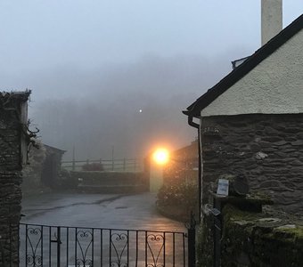 Exmoor National Park, Minehead, January 2020