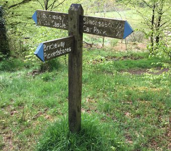 Одна из многочисленных тропинок в Сомерсет. Май 2016