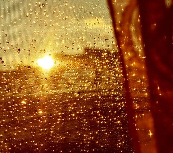 Солнце и дождь