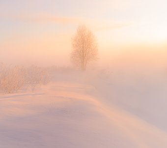 Затаилось в морозном тумане