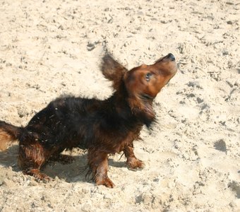 Летнее утро, Киев, Труханов остров июль 2014