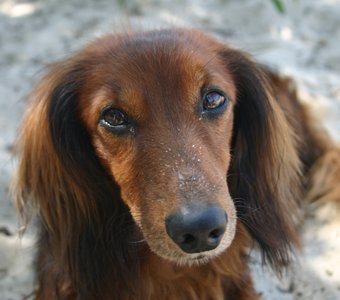 Летнее утро, Киев, Труханов остров июль 2014