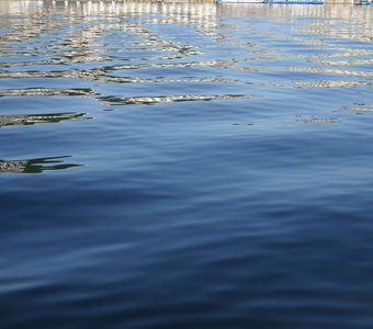 Летнее утро, Киев, Труханов остров июль 2014