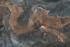 На поверхности Марса живет китайский дракон