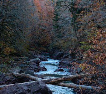 Каньон реки Киша