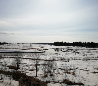 Укан просыпается после зимы