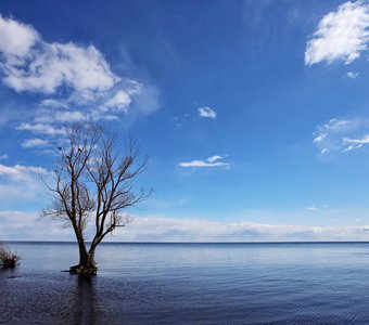 Одиночество