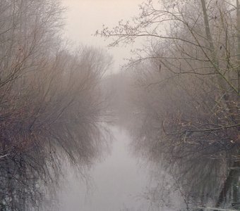 Лесной ручей в тумане
