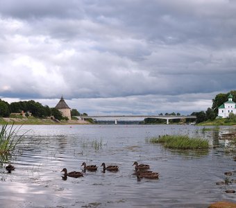 Городские обитатели.