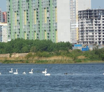 Город наступает