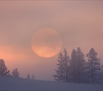 Как солнце вставало ..