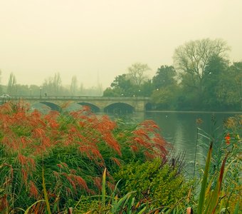 The Serpentine (the Serpentine River)