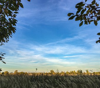 Rural landscape