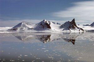Арктика: как туда попасть, кого там можно встретить и как там вообще выжить