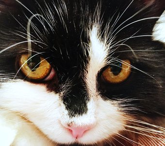 Смотрит в душу