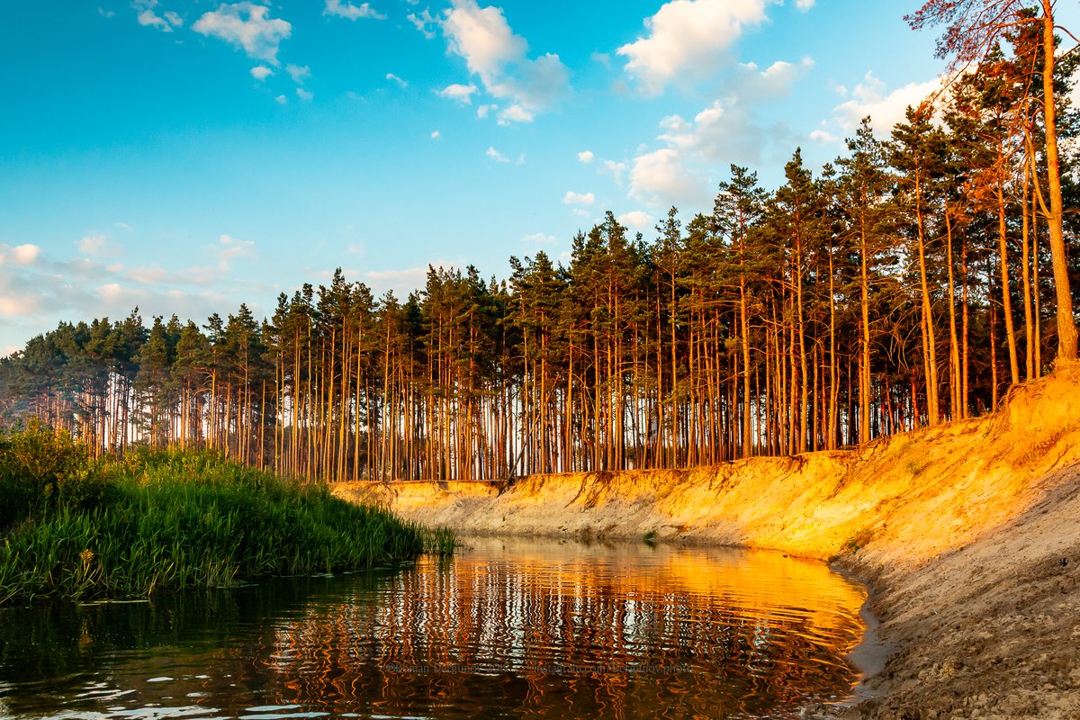 река усмань воронеж