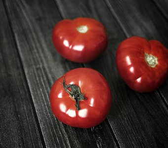 Just tomatoes