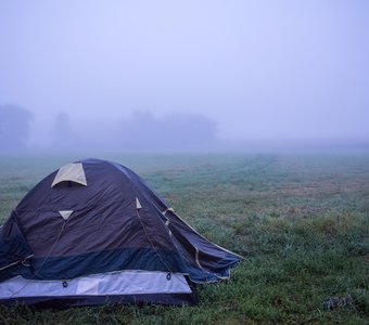 Туманное утро в поле