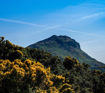 Arthur's Seat